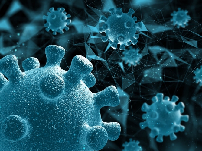 Surto de Influenza no Rio de Janeiro alerta sobre o risco de uma epidemia ao mesmo tempo que se controla a pandemia do coronav&iacute;rus