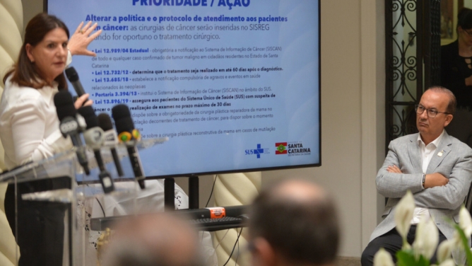A secret&aacute;ria estadual de Sa&uacute;de, Carmen Zanotto, apresentou os dados do Programa para zerar as filas de cirurgia eletivas.
