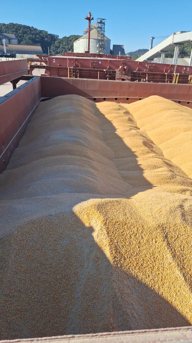 TESC cresce 20% em movimenta&ccedil;&atilde;o de cargas no 1&ordm; semestre de 2025